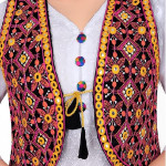 Fashion Cotton Rajasthani Embroidered Jacket for Women with Mirror Work Traditional Ethnic Shrug Jacket for kurti Navratri Gujrati Kutchi Koti